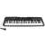 Orgona SD-850 61-Key Electronic Keyboard with Microphone