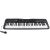 Orgona SD-850 61-Key Electronic Keyboard with Microphone