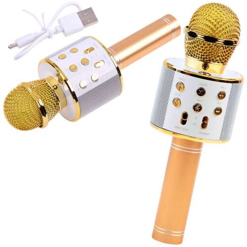 Drahtloses Karaoke-Mikrofon mit Lautsprecher, gold und weiß, zwei Mikrofone, USB-Kabel