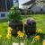 Roto Bolero barrel planters in a garden setting, decorative outdoor flower pots