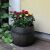 Roto Bolero barrel flower pot with red and yellow roses, outdoor garden decor