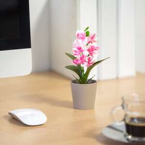 Bewello műorchidea növény rózsaszín és fehér színben, 6 x 17 cm, cserepes - Bewello