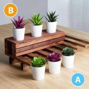 Bewello műnövény dekoráció, 6 db műszukkulens fehér cserépben - Bewello