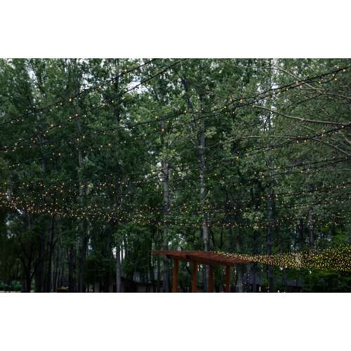 DekorTrend 100 LED warm white fairy lights, hanging in a garden