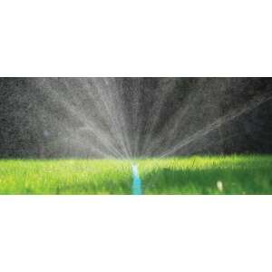 Cellfast Spring 15m garden hose, in use, watering lawn - Cellfast hoses