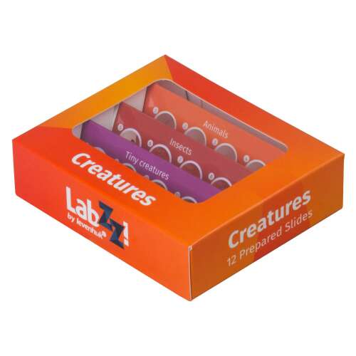 Levenhuk LabZZ C12 Élőlények előkészített tárgylemez-készlet doboz