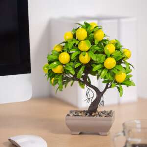Artificial lemon tree, 18 x 24 cm, decorative plant, home decor, office decor - Artificial Plant & Flower