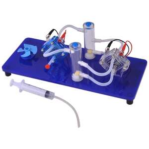 Kit de model de celulă de combustibil cu hidrogen pentru educație științifică, demonstrând producția de energie din hidrogen - Jocuri stiintifice si exploratori