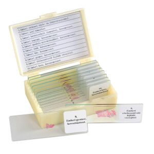 Mikrometszetkészlet țesut uman, set de 10 lame pentru observații biologice - Jocuri stiintifice si exploratori