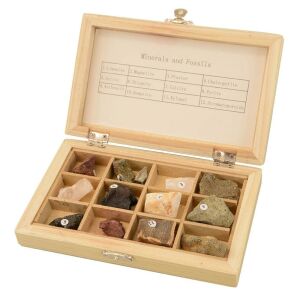 Ásványi kőzetminta készlet - 12 bucăți, colecție de minerale și fosile în cutie de lemn - Jocuri stiintifice si exploratori