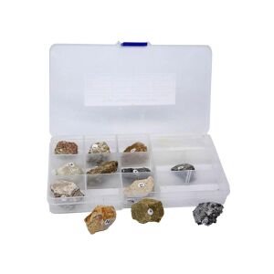 Colecție de 12 roci sedimentare în cutie de depozitare din plastic, set educațional de geologie - Jocuri stiintifice si exploratori