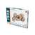 EWA Trike 3D fa puzzle, 281 darabos, doboz csomagolás