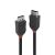 LINDY 1.5m DisplayPort cable 1.2, Black Line 97046117