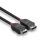LINDY 1.5m DisplayPort cable 1.2, Black Line 97046117