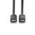 LINDY 1.5m DisplayPort cable 1.2, Black Line, DisplayPort to DisplayPort cable, 4K 60Hz, 21.6Gbps bandwidth