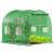 Springos greenhouse tunnel cover, 2 x 2 x 2 x 2 m, green, with plants inside