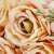 Close-up of peach rose from Springos decorative bouquet