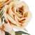 Close-up of peach rose from Springos decorative bouquet