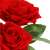 Springos decorative red rose bouquet, artificial flowers, close-up