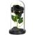 Springos Black Eternal Rose in Glass Dome with LED Lights