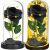 Springos Black Eternal Rose in Glass Dome with White and Golden LED Lights