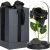 Springos Black Eternal Rose in Glass Dome with LED Lights and Gift Box
