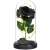 Black rose in a glass dome with LED lights, Springos eternal rose