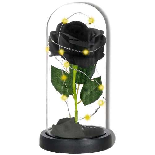Schwarze Rose in einer Glaskuppel mit LED-Lichtern, Springos ewige Rose