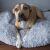 Dog resting comfortably in a Springos grey plush dog bed