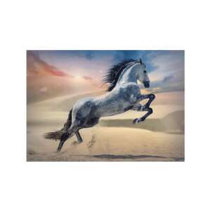 Trefl Fenséges paripa 1000 Teile Puzzle, Pferd rennt in der Wüste, Sonnenuntergang - Trefl Puzzle