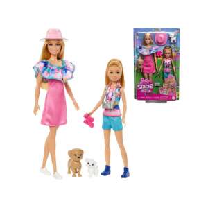 Zestaw lalek Barbie i Stacie to the Rescue z dwoma szczeniakami, Barbie w różowej sukience i Stacie w niebieskiej koszulce i szortach, idealny do kreatywnej zabawy i odtwarzania scen z filmu animowanego - Mattel Baba