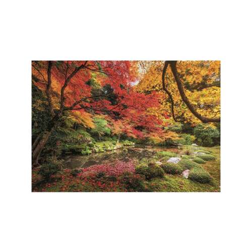 Scenă din parc de toamnă, puzzle cu 1500 piese de la Clementoni