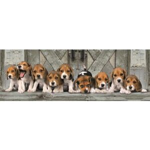 Clementoni Beagle Welpen Panorama Puzzle, 1000 Teile - Clementoni Puzzle