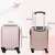 LEONARDO DA VINCI XS size cabin suitcase with ribbed design and removable wheels - Rose Gold - dimensions