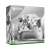 Microsoft Xbox Series X/S Wireless controller - Arctic Camo Special Edition (PC/Xbox Series X|S/Android/iOS) 97679426