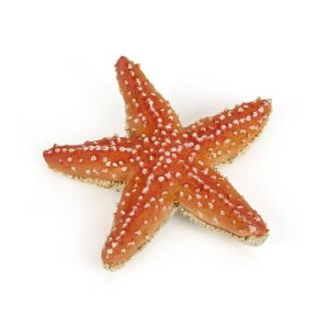 Figúrka hviezdice Papo - Hračka morské zviera - 7cm - Papo