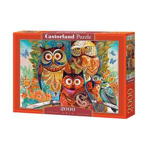 Castorland 2000 piece jigsaw puzzle, Owls - Puzzle