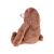 Side view of Plush Teddy Bear, Brown bear sitting