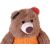 Close-up of Colorful Plush Teddy Bear, Brown bear face detail