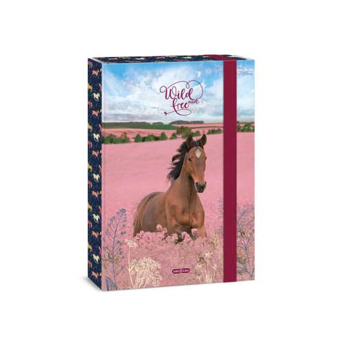 Ars Una Wild and Free Pferde A4 Notizbuchbox, mit einem braunen Pferd, das über ein rosa Feld rennt