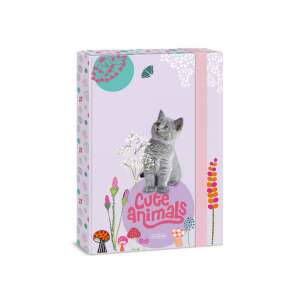 Ars Una Cuki állatok A4-es füzetbox aranyos cicával - Füzetbox