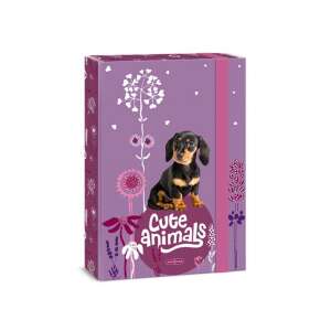 Ars Una Cuki állatok A4-es füzetbox tacskóval - Füzetbox