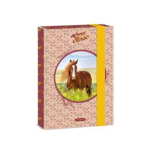 Ars Una My Sweet Horse A5 füzetbox ló mintával - Füzetbox