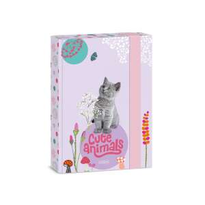 Ars Una Cuki állatok A5 füzetbox, cicás mintával - Füzetbox