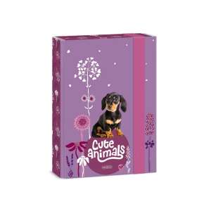 Ars Una Animale Drăguțe Cutie A5 pentru Caiete cu un design drăguț de câine teckel - Ars Una