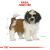 Royal Canin BHN Shih Tzu Puppy — Trockenfutter für Welpen — 1,5 kg 98048707