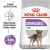 ROYAL CANIN CCN MINI STERILISED - sucha karma dla psa dorosłego - 3kg 98048835