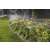 Hunter PRO-15Q spray nozzles in use watering a flower bed