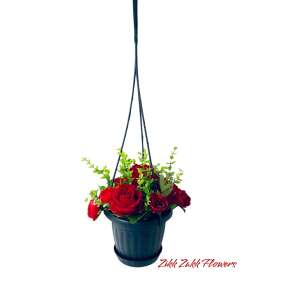 Carlos Vörös Rózsás függő -kaspó