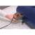 Electric pump for inflating Bestway inflatable guest bed